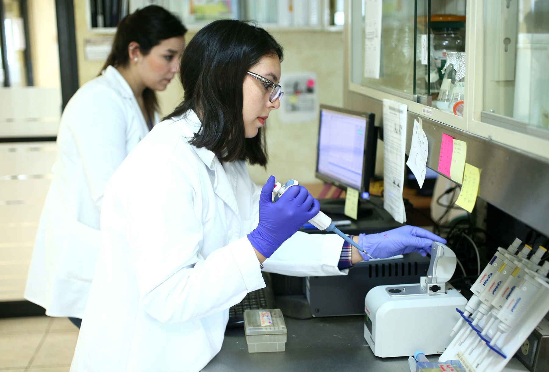 Docencia e Investigación